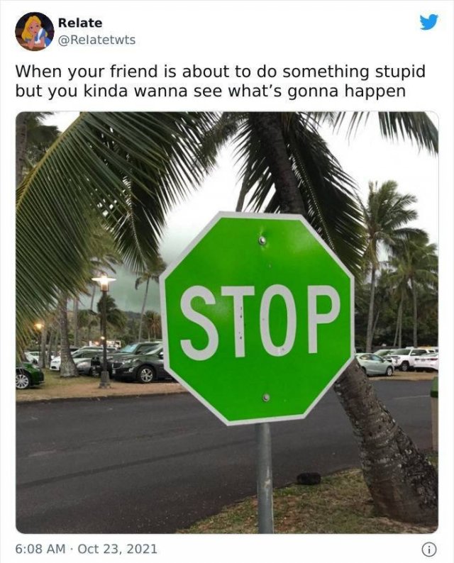 So True (48 pics)