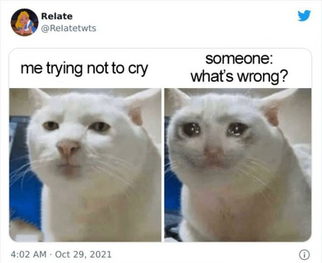 So True (48 pics)