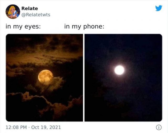 So True (48 pics)