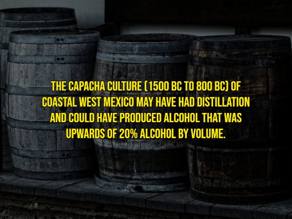 History Facts (15 pics)