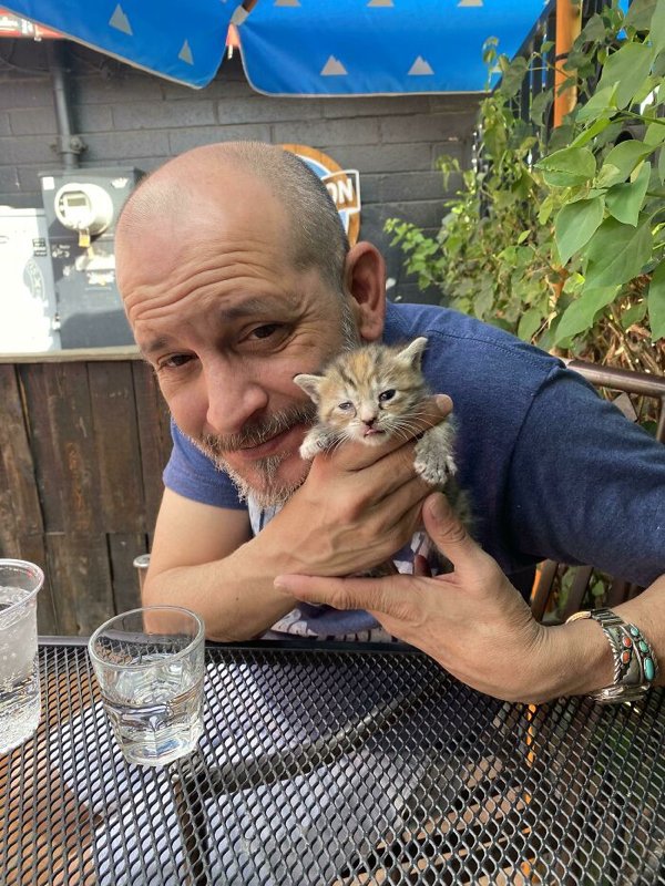 Adopted Pets To Warm Your Heart (45 pics)