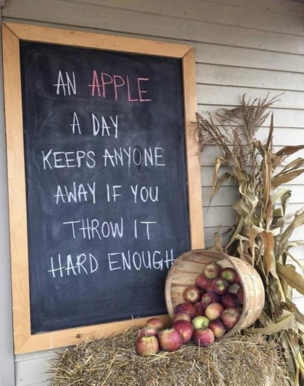 You Can't Even Argue (34 pics)