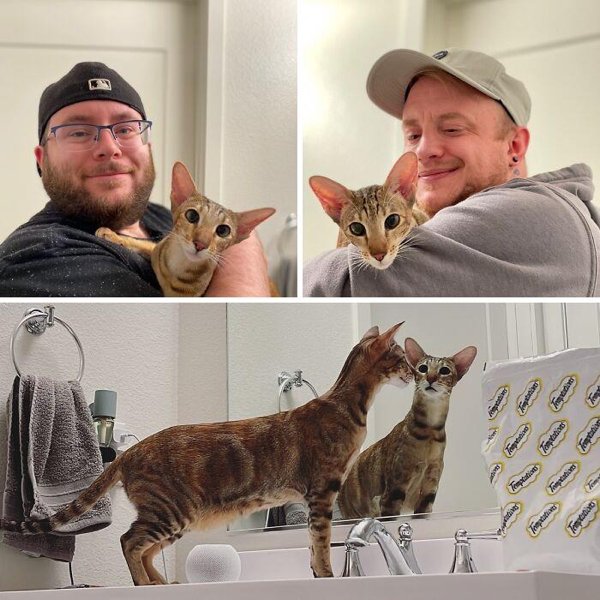 Adopted Pets To Warm Your Heart (45 pics)