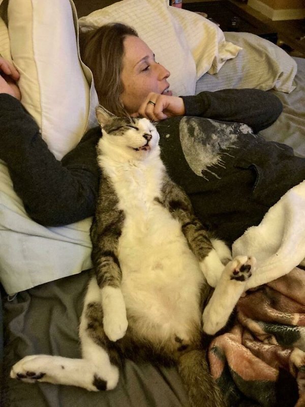 Adopted Pets To Warm Your Heart (45 pics)