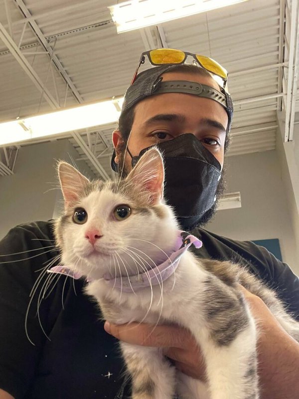 Adopted Pets To Warm Your Heart (45 pics)