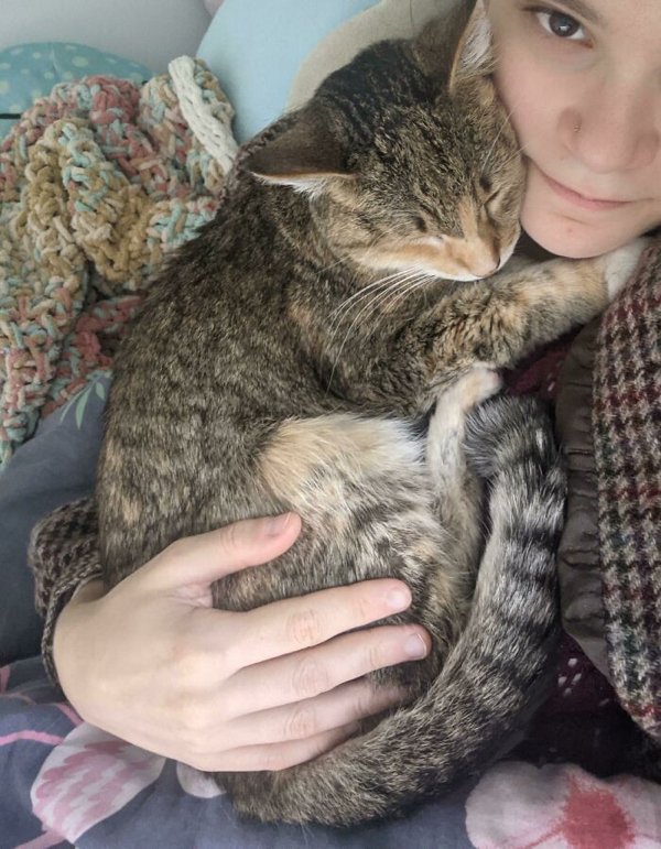 Adopted Pets To Warm Your Heart (45 pics)