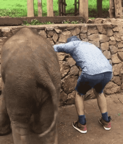 Wins And Fails (36 gifs)