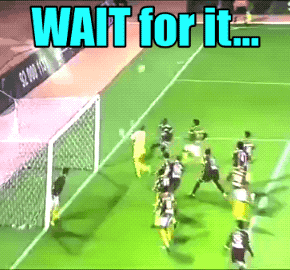 Wins And Fails (36 gifs)