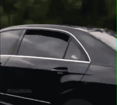 Wins And Fails (36 gifs)