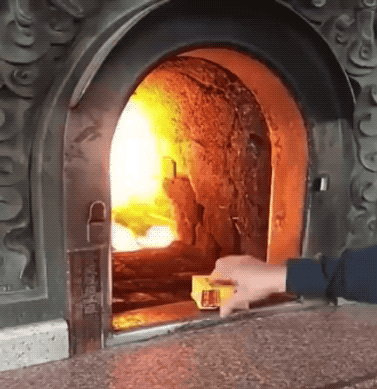 Wins And Fails (36 gifs)