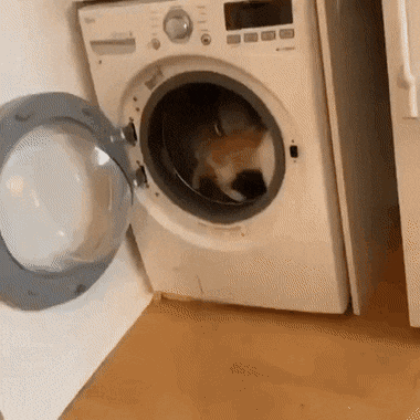 Acid Gifdump, November 4 (25 gifs)