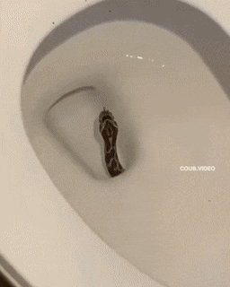 Acid Gifdump, November 4 (25 gifs)