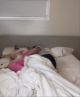 Acid Gifdump, November 4 (25 gifs)