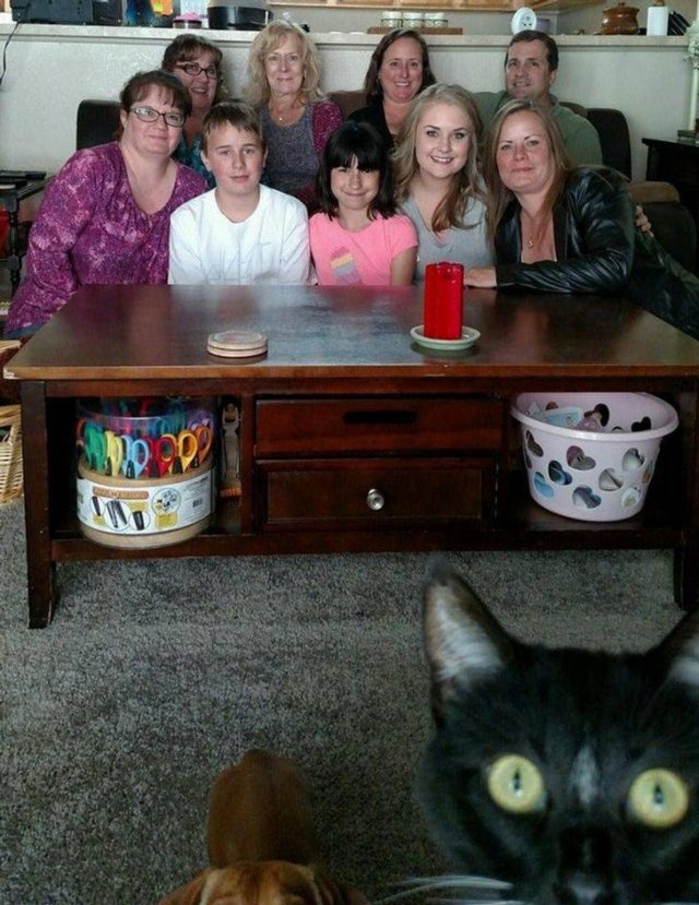 Funny Photos (49 pics)