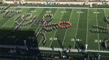 Pure Talent (45 pics)