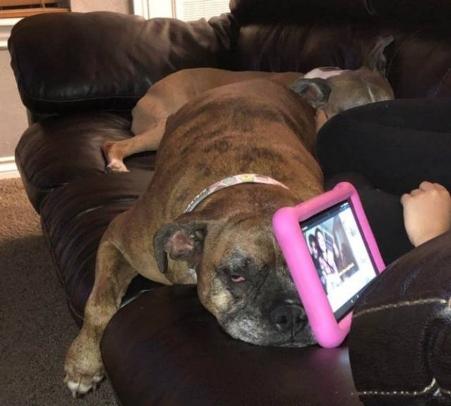 Funny Photos (49 pics)
