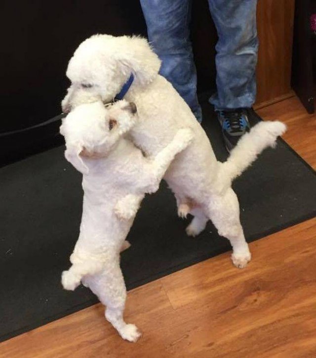 Funny Photos (49 pics)