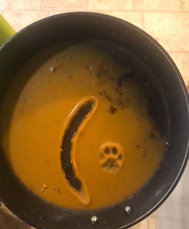 Funny Photos (49 pics)