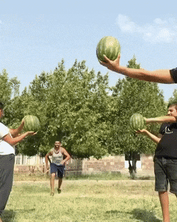 Pure Talent (45 pics)