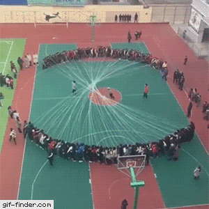 Pure Talent (45 pics)