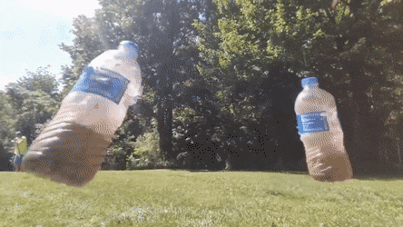 Pure Talent (45 pics)