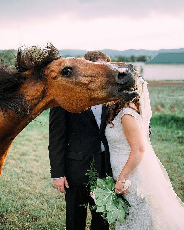 Funny Photos (49 pics)