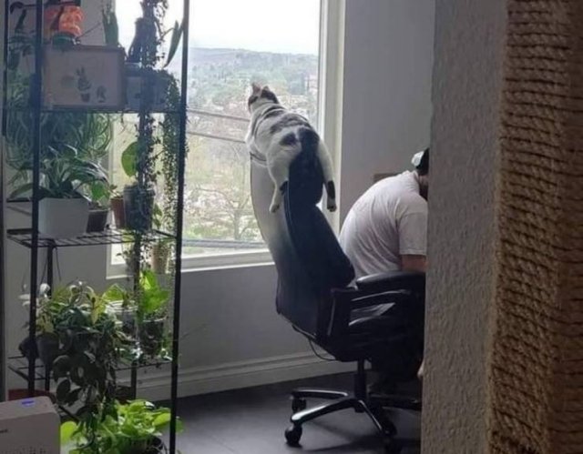 Funny Photos (49 pics)
