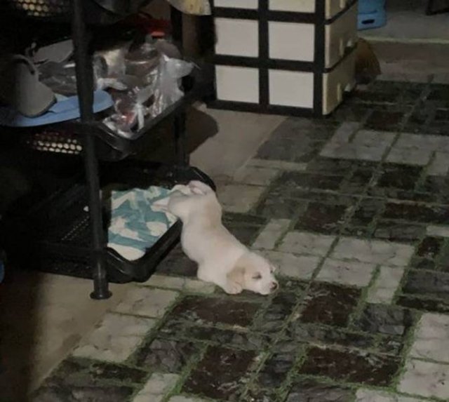 Funny Photos (49 pics)