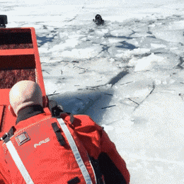 Acid Gifdump, November 5 (25 gifs)