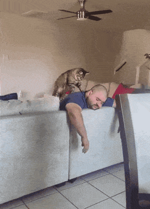 Acid Gifdump, November 5 (25 gifs)