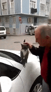 Acid Gifdump, November 5 (25 gifs)