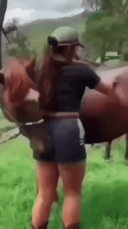 Acid Gifdump, November 5 (25 gifs)