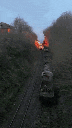 Acid Gifdump, November 5 (25 gifs)