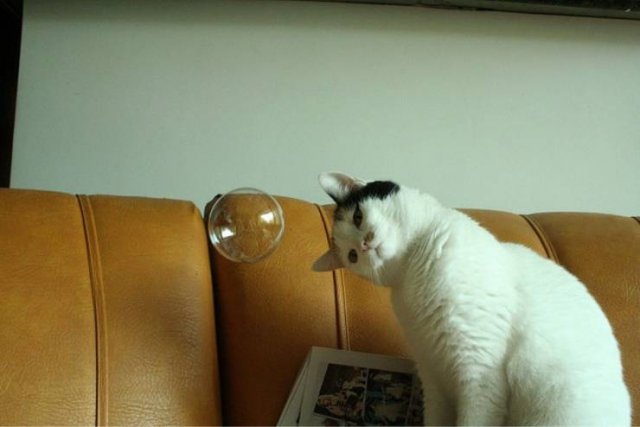 Acid Picdump 1 (85 pics)