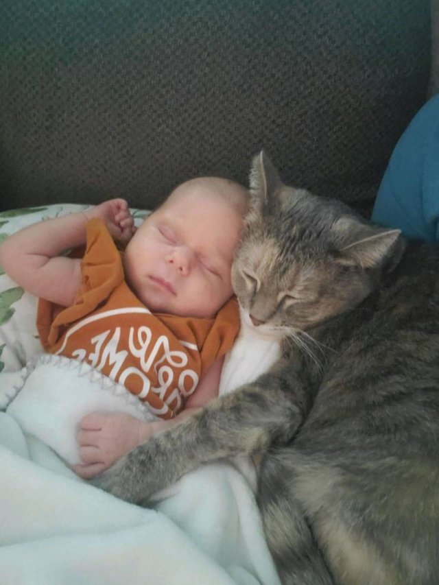 Acid Picdump 1 (85 pics)
