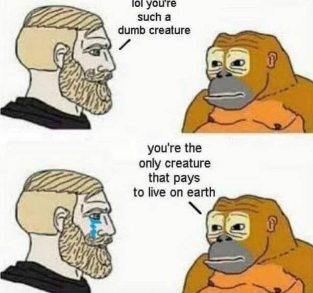 Acid Picdump 2 (84 pics)