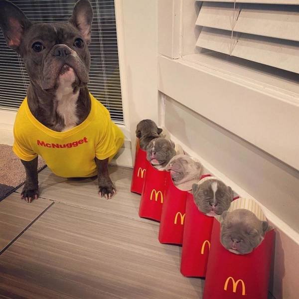 Acid Picdump 1 (85 pics)