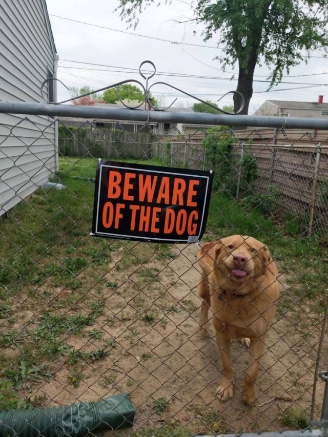 Acid Picdump 1 (85 pics)