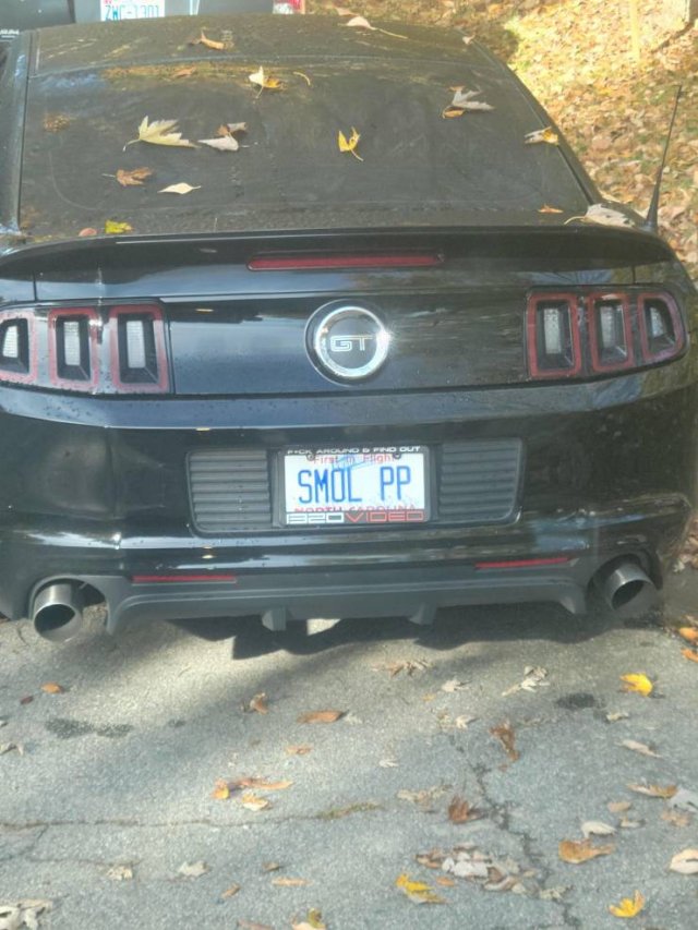 Acid Picdump 1 (85 pics)