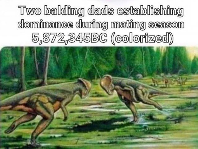 Acid Picdump 2 (84 pics)