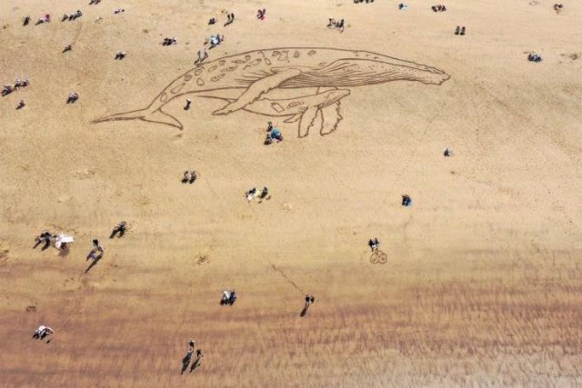 Acid Picdump 2 (89 pics)
