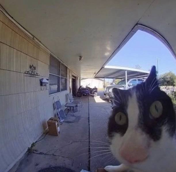 Acid Picdump 2 (89 pics)