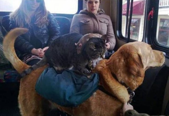 Acid Picdump 2 (89 pics)