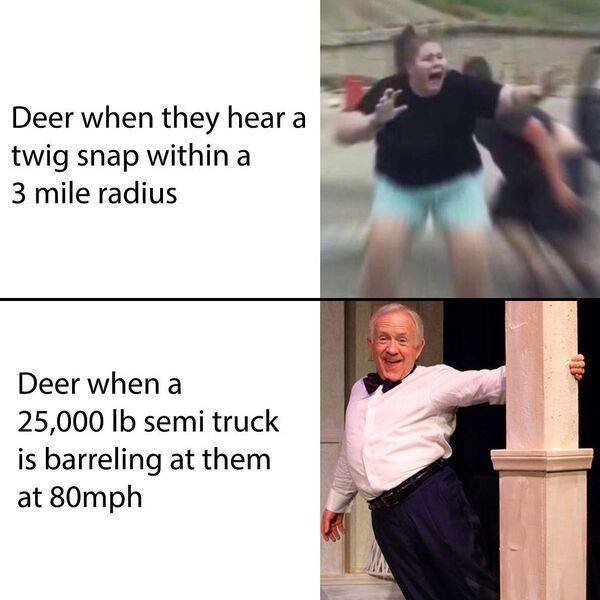So True (48 pics)