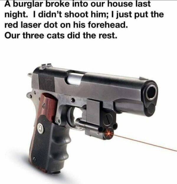 So True (48 pics)