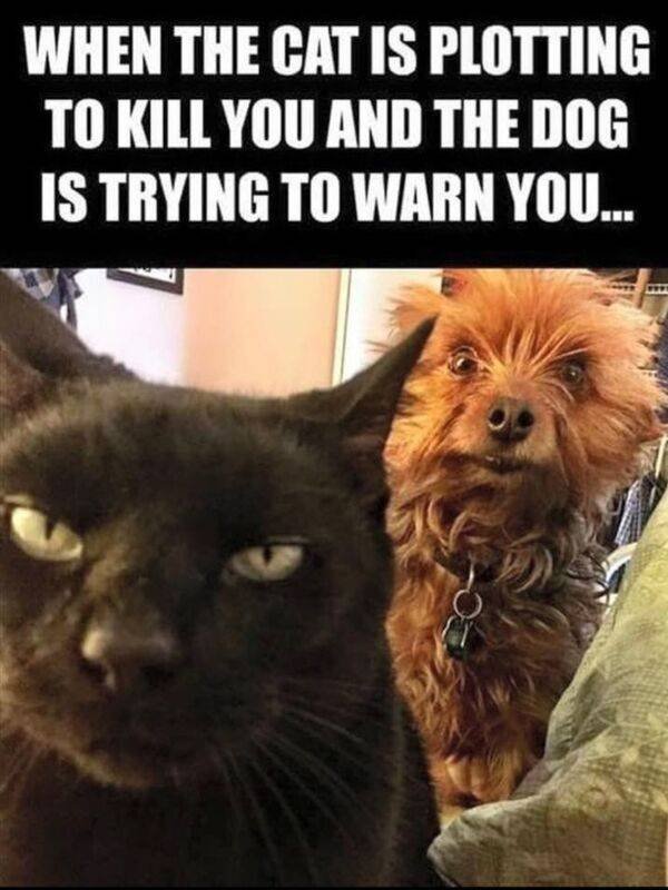 So True (48 pics)