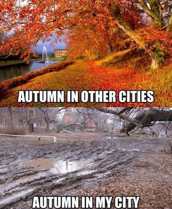 So True (48 pics)