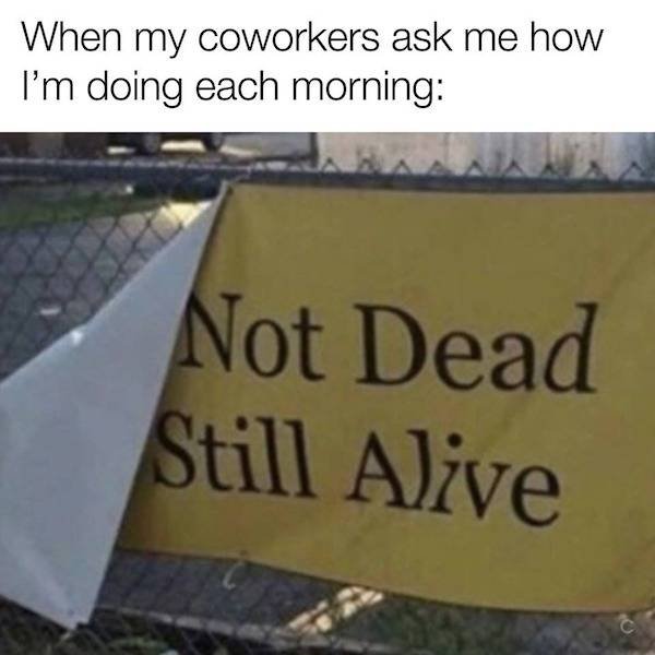 So True (48 pics)