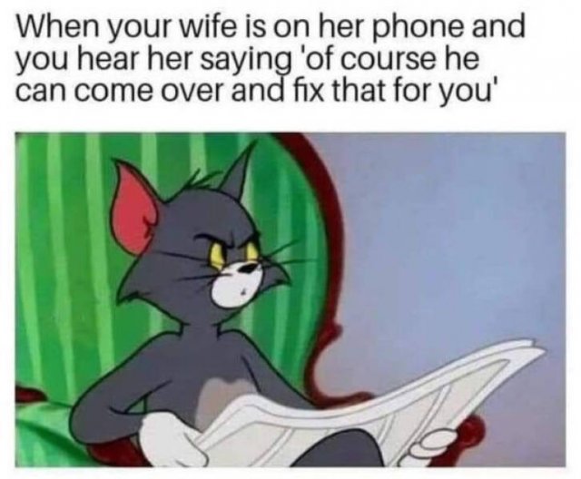 So True (48 pics)