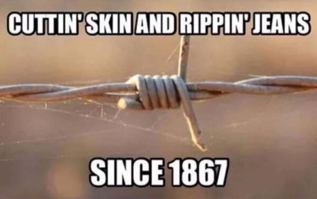 So True (48 pics)